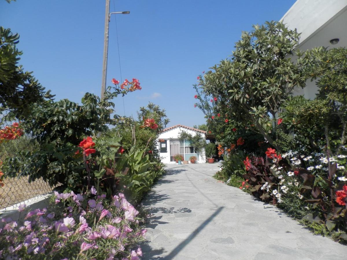 Silvi Mari Apartments 플라타네스 외부 사진