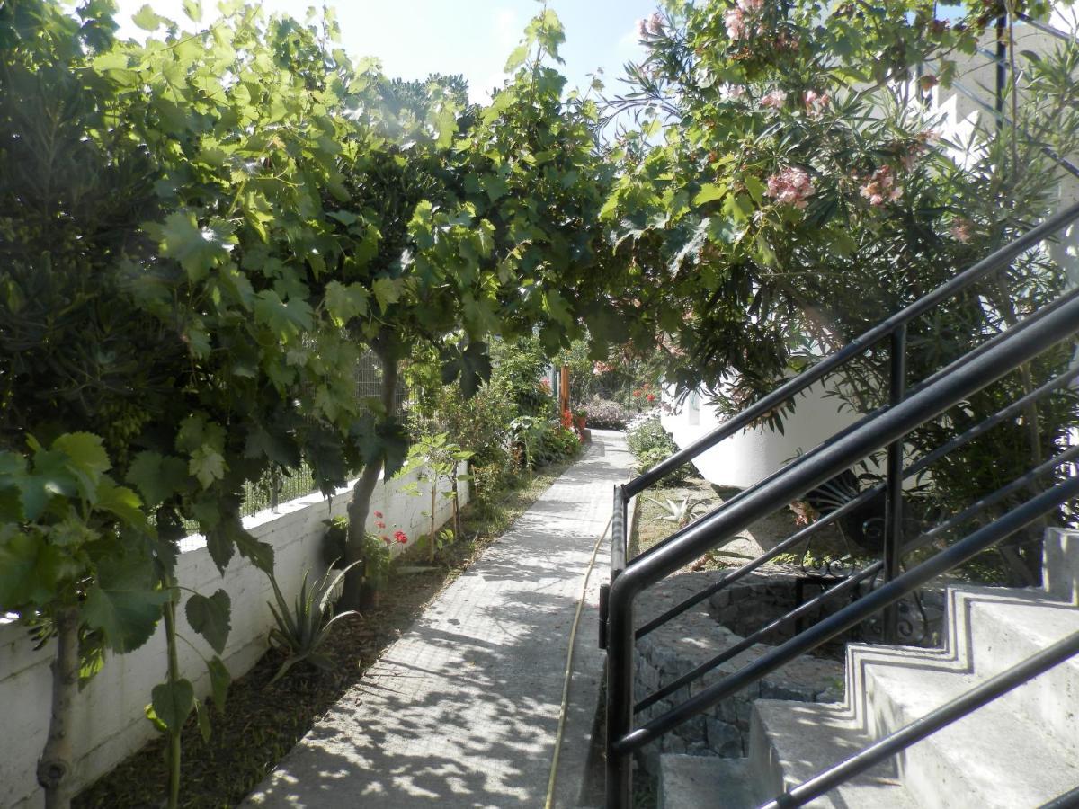 Silvi Mari Apartments 플라타네스 외부 사진